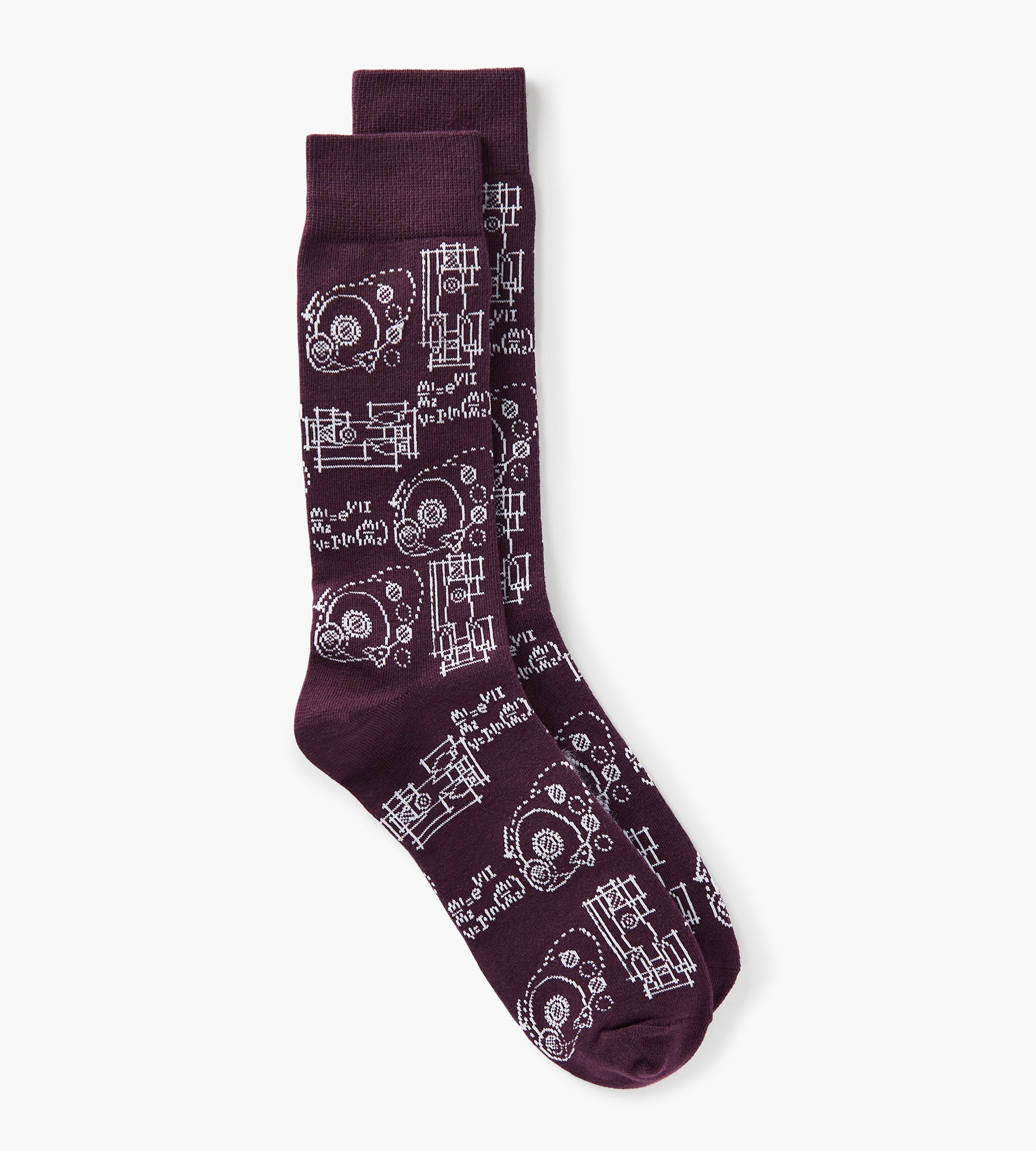 Science Socks